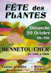 Fête des plantes. Le dimanche 20 octobre 2013 à Mennetou sur Cher. Loir-et-cher. 